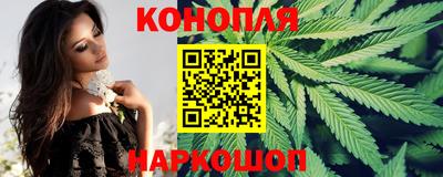 дмт Камышлов