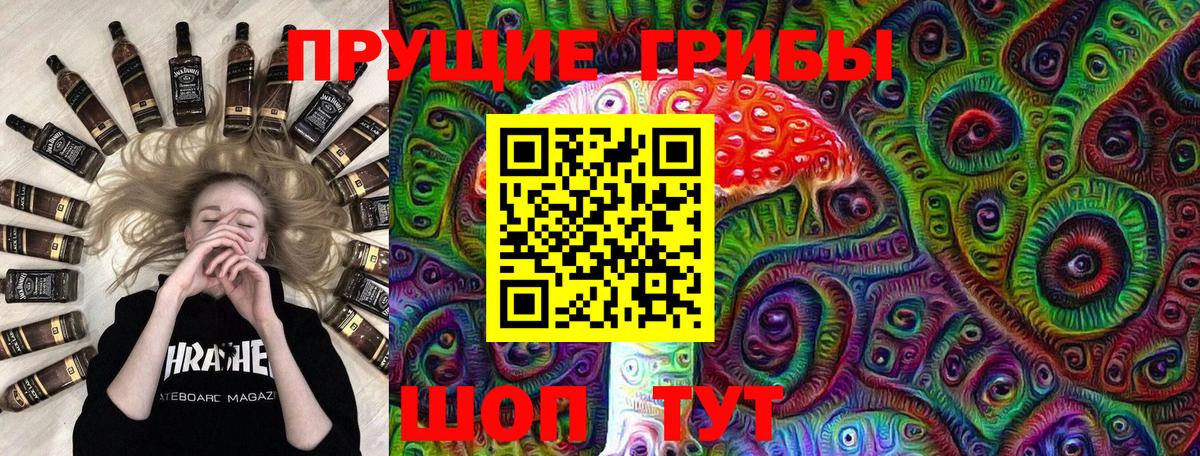 Псилоцибиновые грибы Cubensis  Вход с VPN  Троицк 